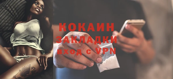 прущие грибы Баксан