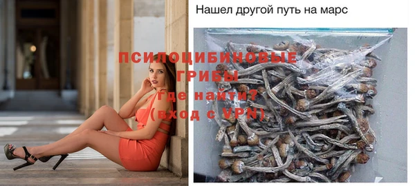 прущие грибы Баксан