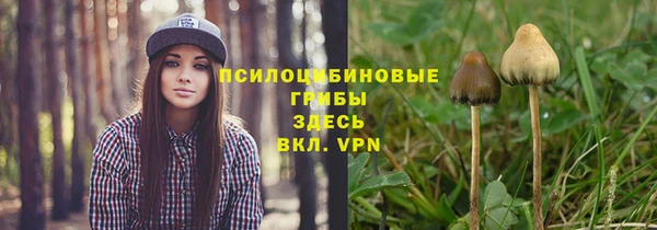 дживик Балабаново